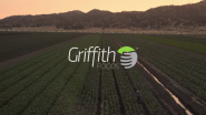 Griffith Foods | Creating the Sustainable Future of Food